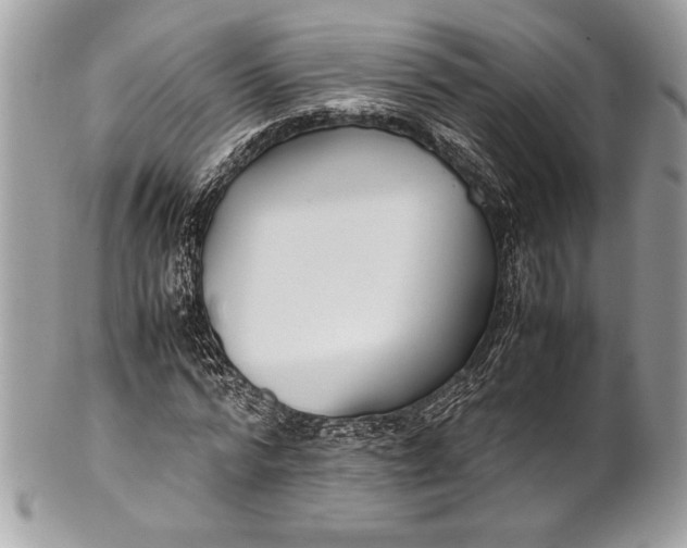 X0000100860776200807070932