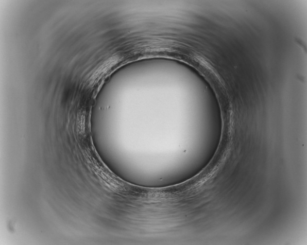 X0000100860777200807070932