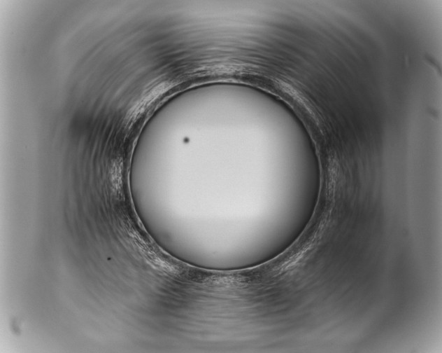 X0000100860778200807070932