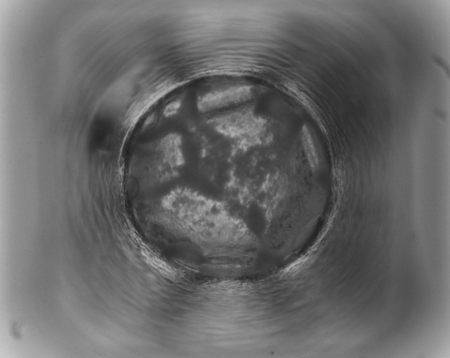 X0000100860779200807070932