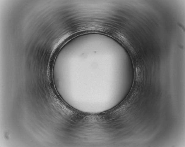 X0000100860780200807070932