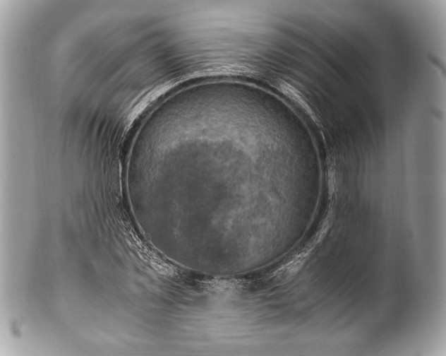 X0000100860781200807070932