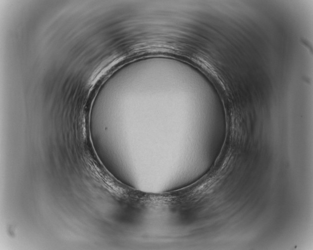 X0000100860782200807070932