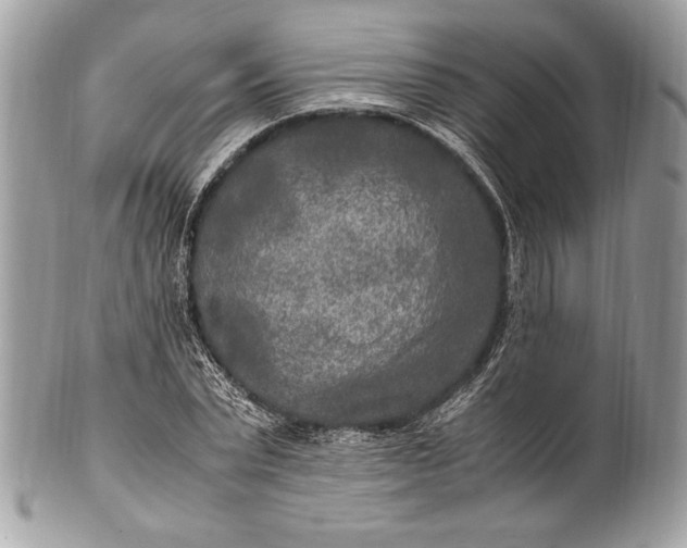 X0000100860783200807070932