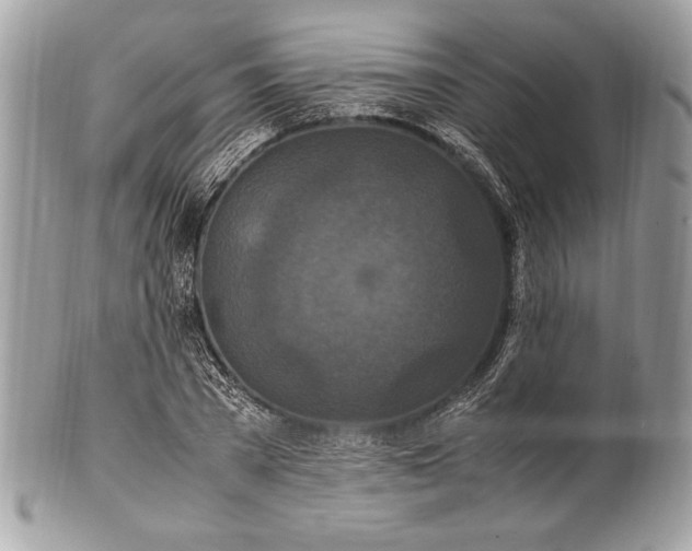 X0000100860785200807070932