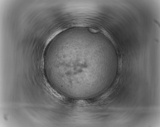 X0000100860787200807070932