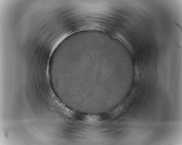 X0000100860788200807070932