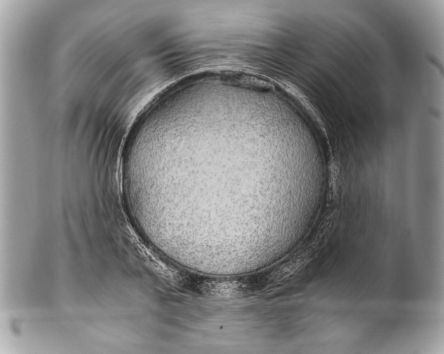 X0000100860791200807070932