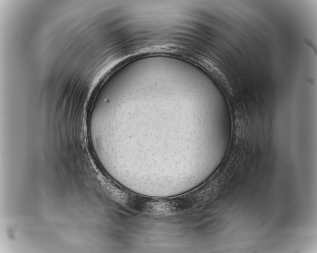 X0000100860792200807070932