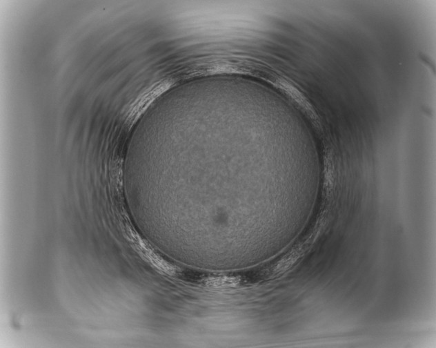 X0000100860793200807070932