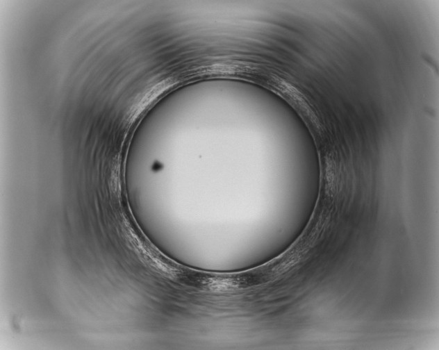 X0000100860794200807070932