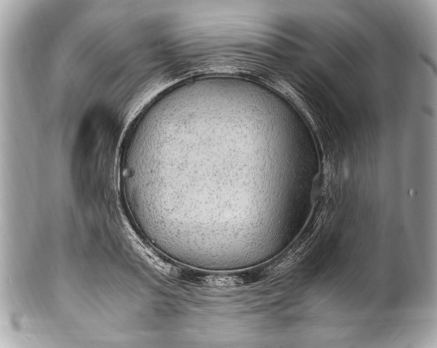 X0000100860795200807070932