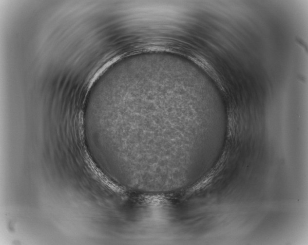 X0000100860798200807070932