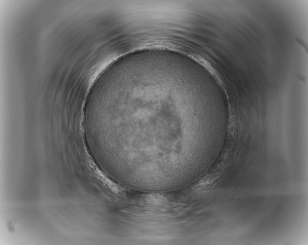 X0000100860799200807070932