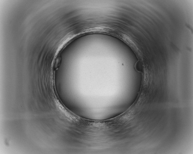 X0000100860800200807070932