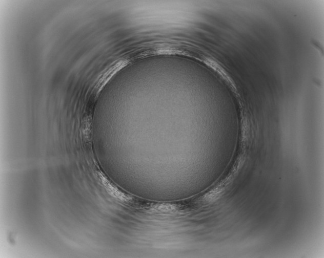 X0000100860801200807070932