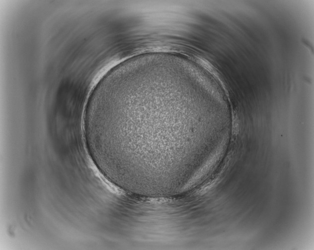 X0000100860803200807070932