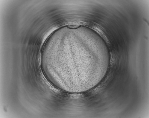 X0000100860804200807070932