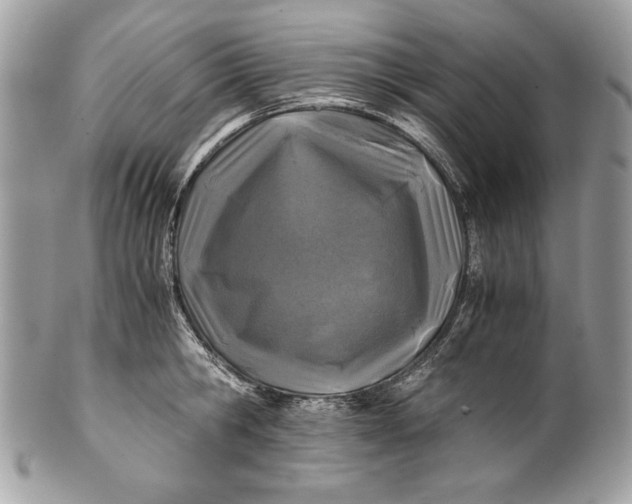 X0000100860806200807070932