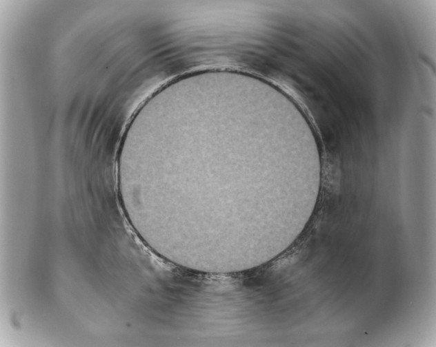 X0000100860807200807070932