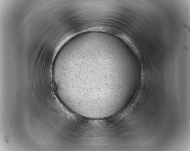 X0000100860808200807070932