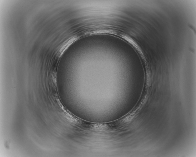 X0000100860809200807070932