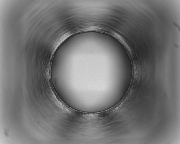 X0000100860810200807070932