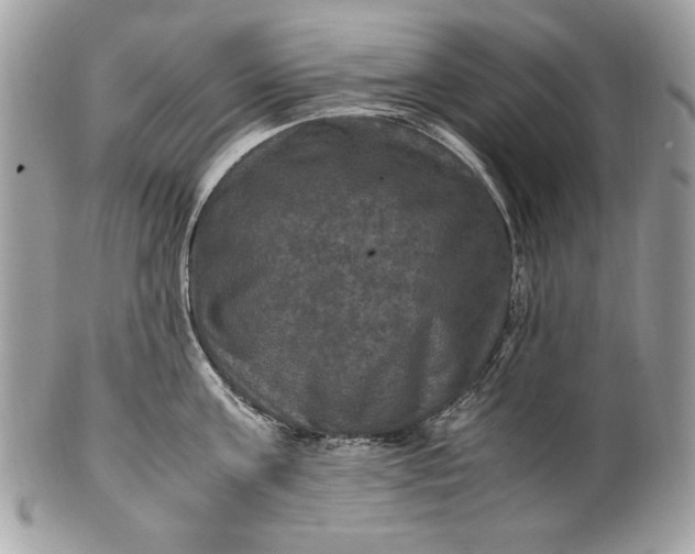 X0000100860811200807070932