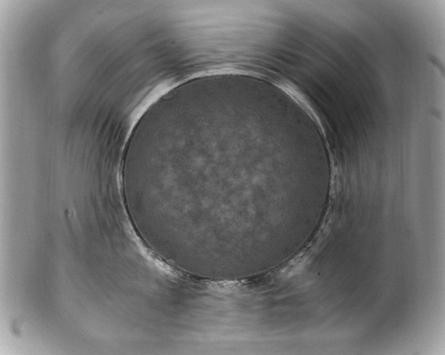 X0000100860813200807070932