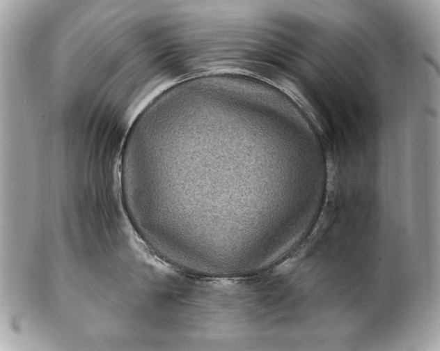 X0000100860814200807070932