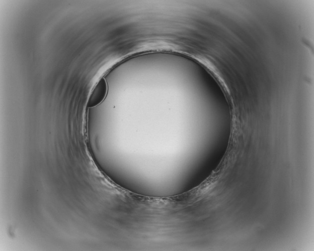 X0000100860815200807070932