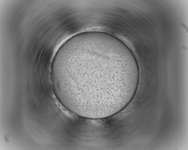 X0000100860816200807070932