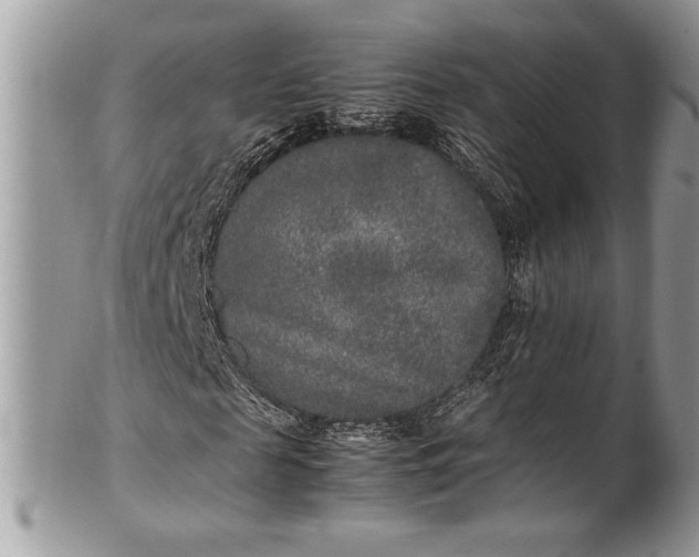 X0000100860817200807070931