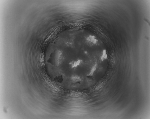 X0000100860818200807070931