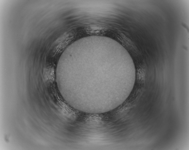 X0000100860820200807070931