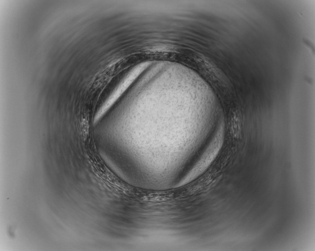 X0000100860821200807070931