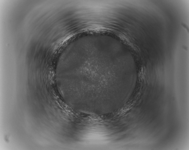 X0000100860822200807070931