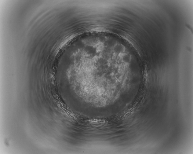 X0000100860823200807070931