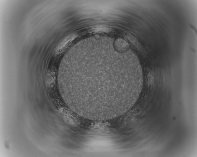 X0000100860824200807070931