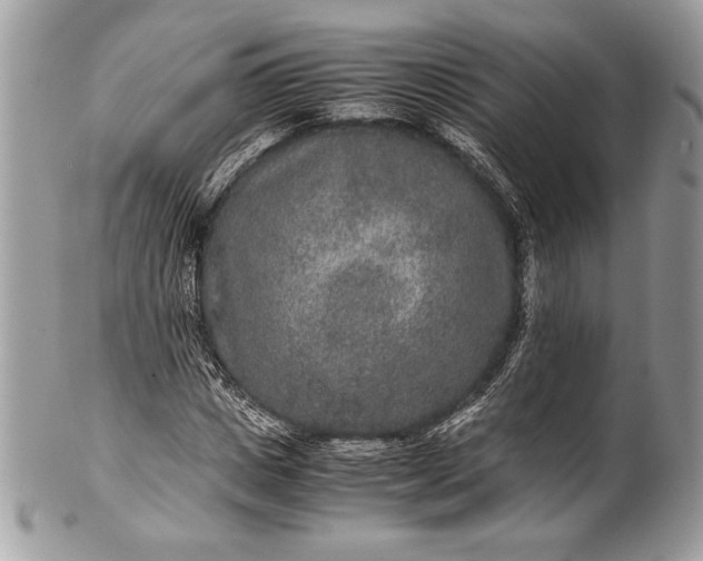 X0000100860825200807070931