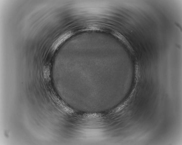 X0000100860826200807070931