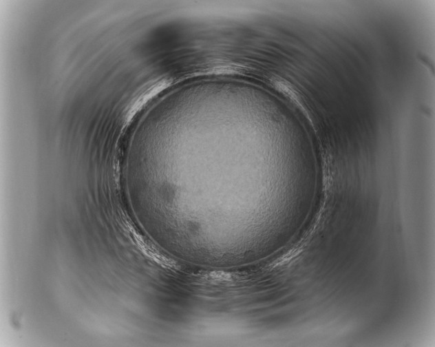 X0000100860827200807070931