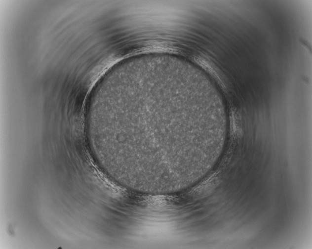 X0000100860828200807070931