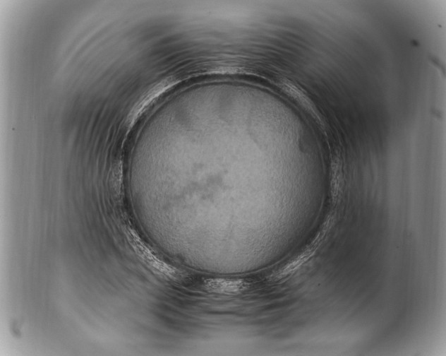 X0000100860831200807070931