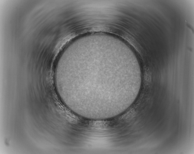 X0000100860832200807070931