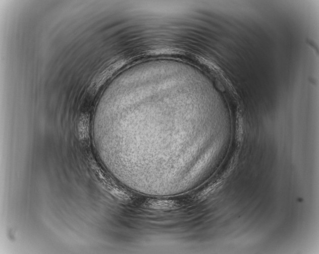 X0000100860833200807070931