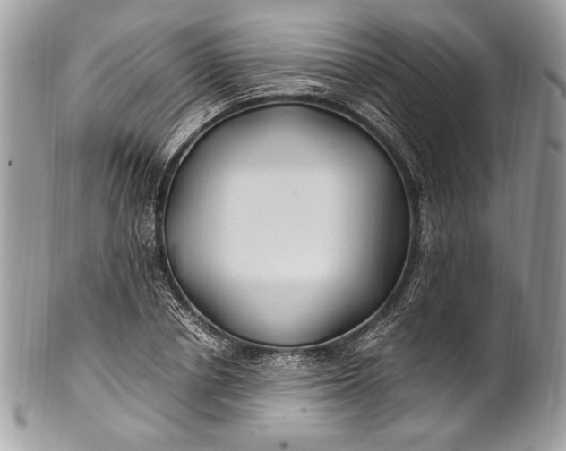 X0000100860834200807070931