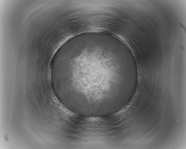 X0000100860835200807070931