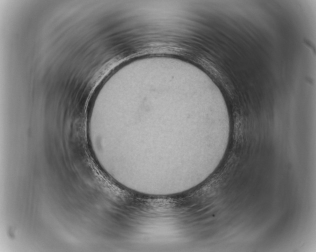 X0000100860836200807070931