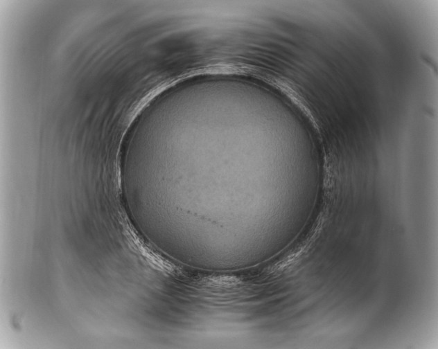 X0000100860837200807070931